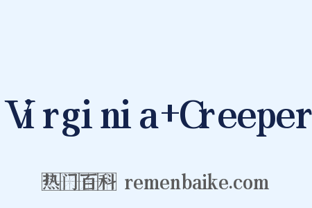Virginia+Creeper是什么意思的图片